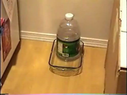 DIY Automatic Dog Waterer
 20 Fun and Creative Crafts with Plastic Soda Bottles