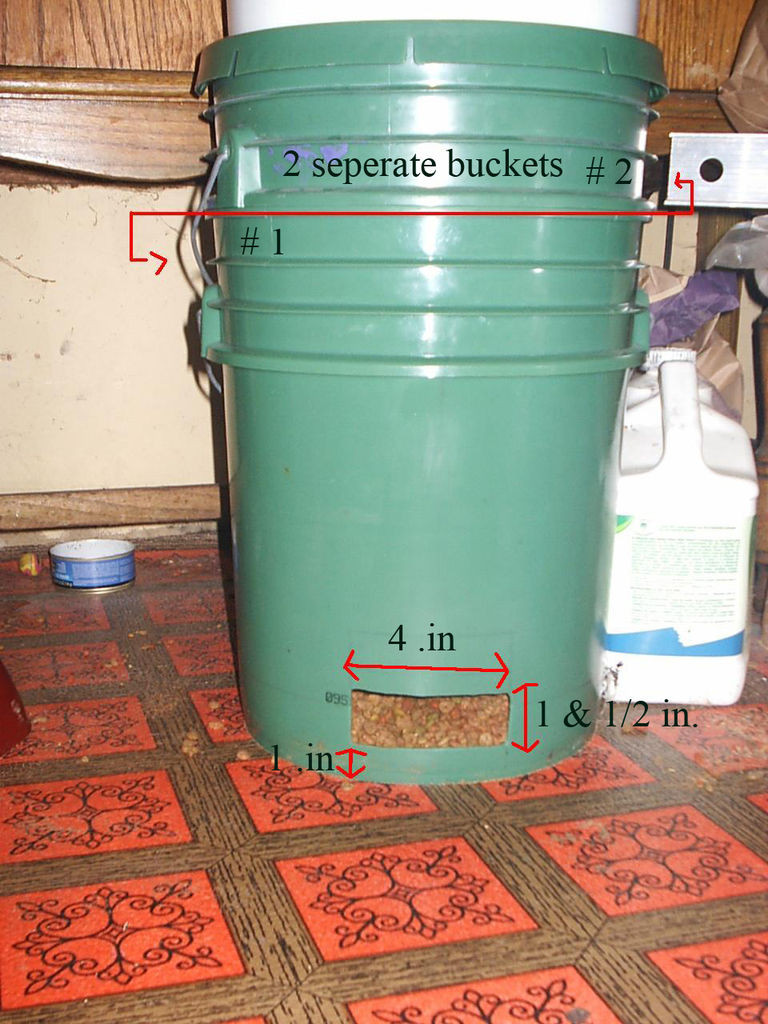 DIY Automatic Dog Waterer
 Gravity Auto Cat Feeder From 2 5 Gallon Buckets 3 Steps