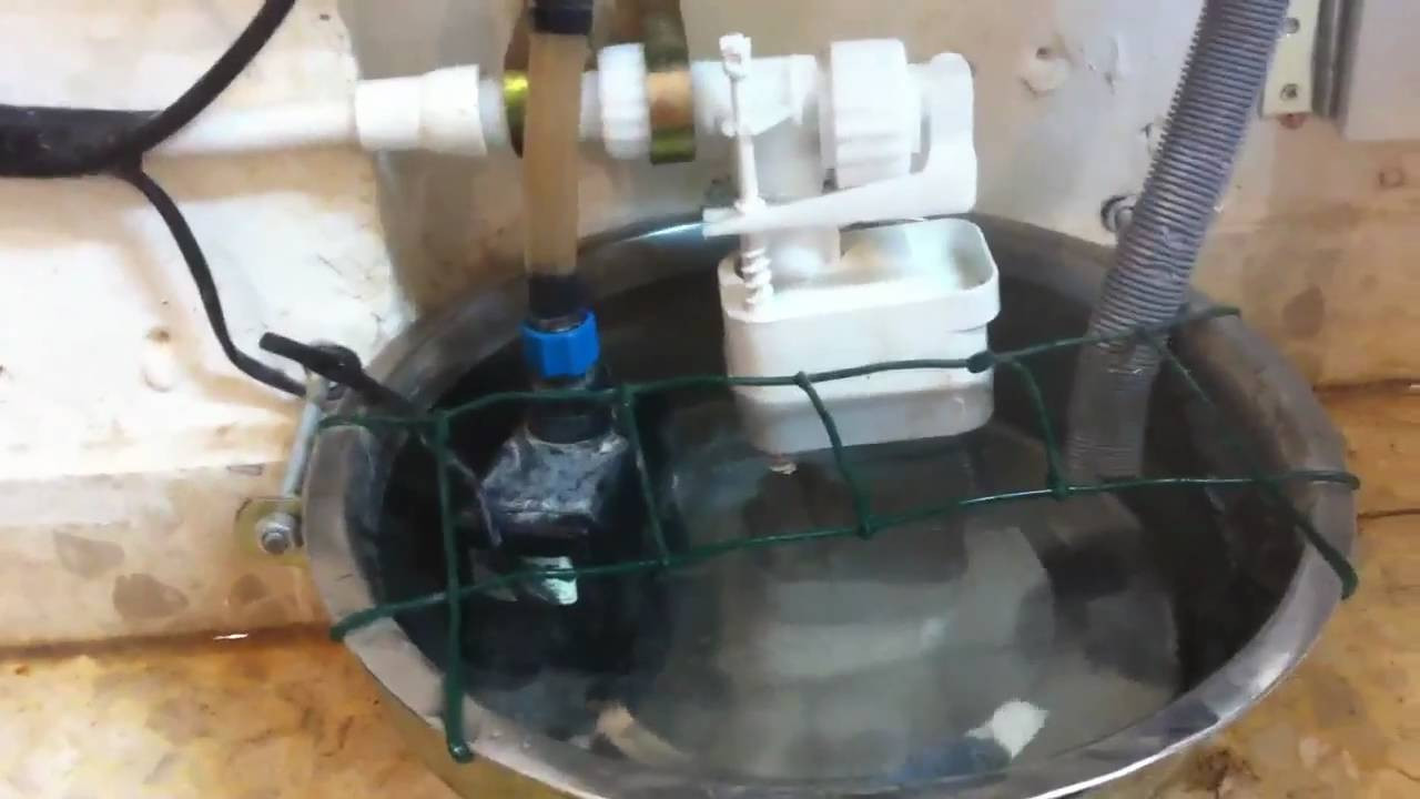 DIY Automatic Dog Waterer
 For Lifehacker Automatic dog waterer