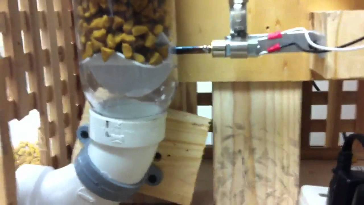 DIY Automatic Dog Waterer
 Automatic Pet Feeder