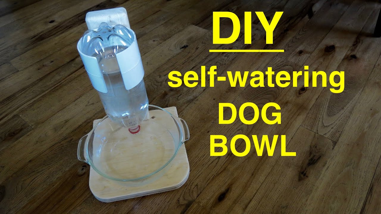 DIY Automatic Dog Waterer
 DIY Self Filling Water Bowl for Your DOG CAT that