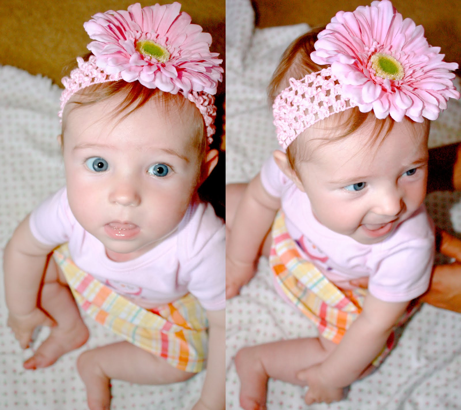 DIY Baby Headbands With Flowers
 DIY Baby Flower Headbands Wild Oak Stream
