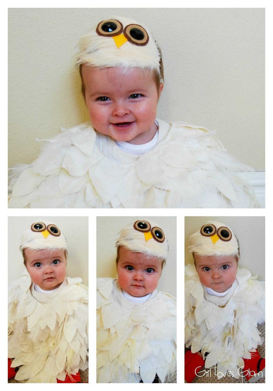 DIY Baby Owl Costume
 No Sew Baby Owl Costume Girl Loves Glam