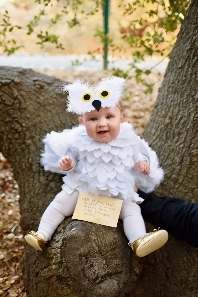 DIY Baby Owl Costume
 Hedwig Baby Owl Costume DIY No Sew Make Life Lovely