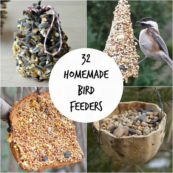 DIY Bird Feeder For Kids
 Diy Bird Feeder For Kids WoodWorking Projects & Plans