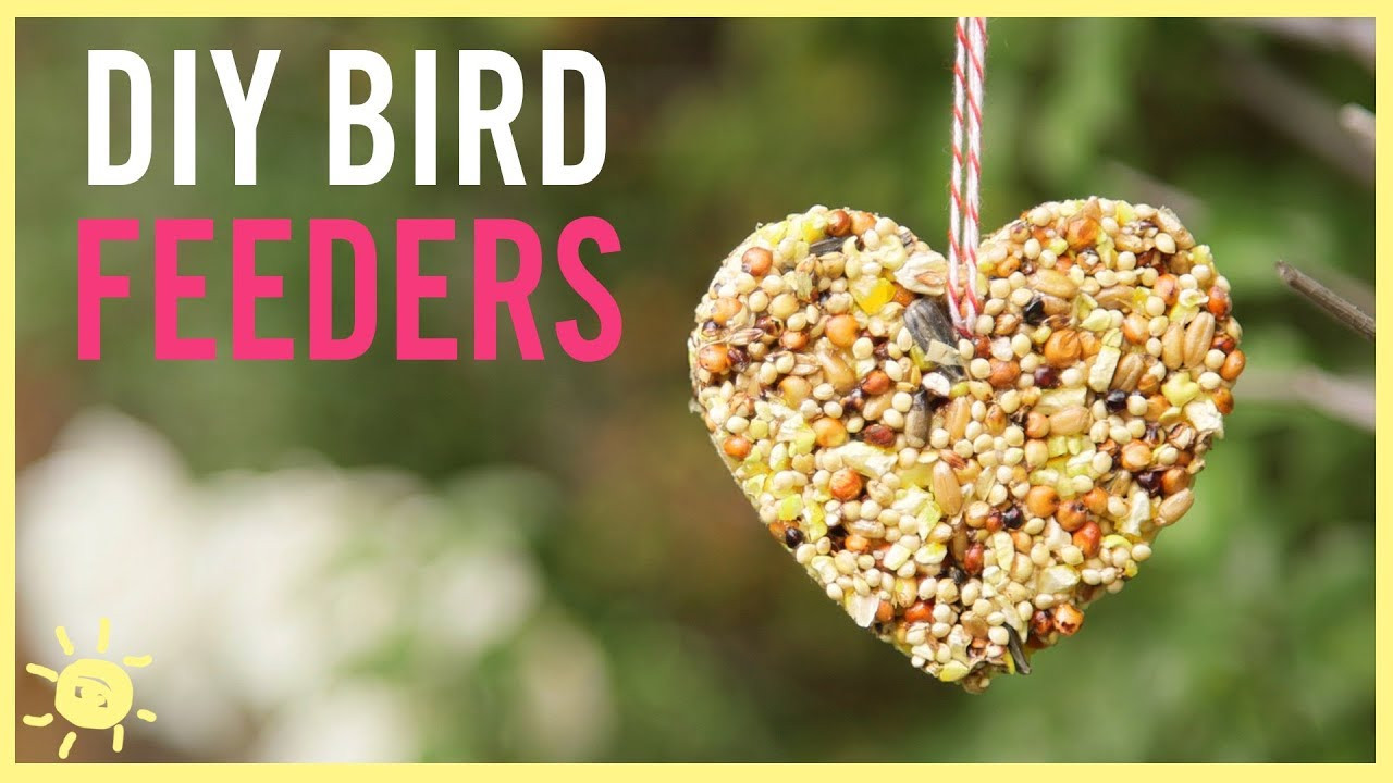 DIY Bird Feeder For Kids
 DIY