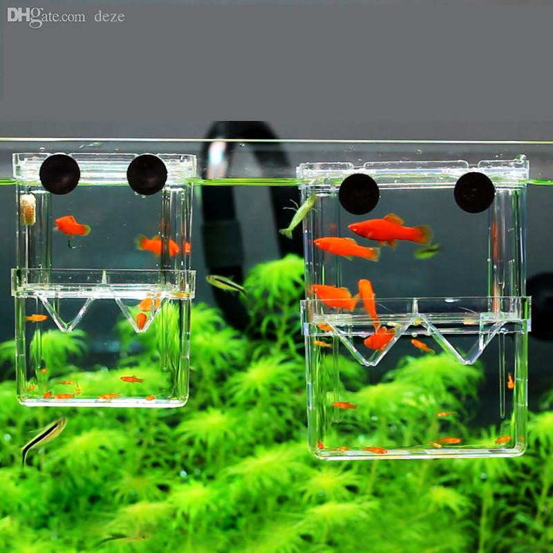 DIY Breeder Box
 Wholesale S L Aquarium Fish Hatchery Acrylic Fish Tank