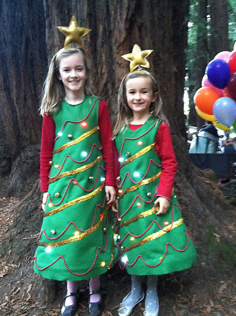 DIY Christmas Costumes
 Light Up Christmas Tree Costume