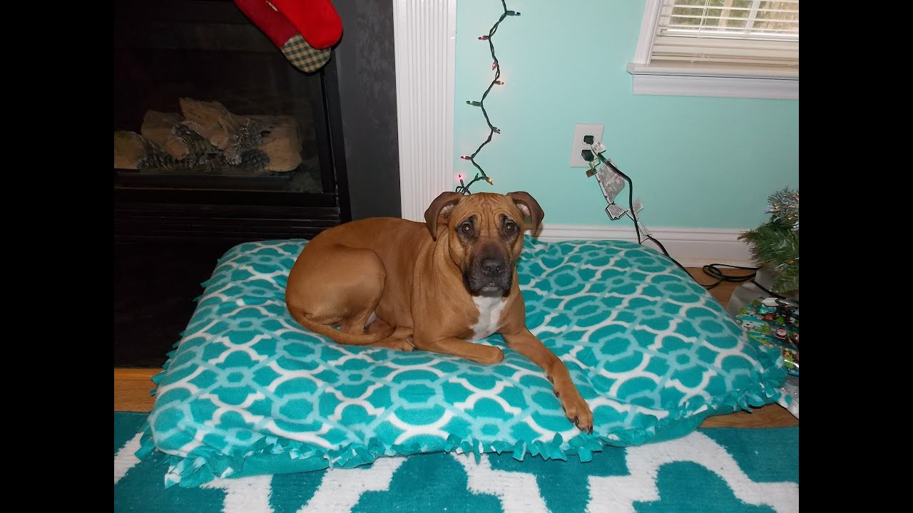 DIY Dog Bed Pillow
 DIY Recycled Dog Bed No Sew