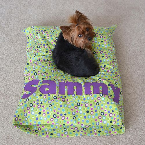 DIY Dog Bed Pillow
 Building Your Own Do It Yourself Dog Bed – Top 3 Methods