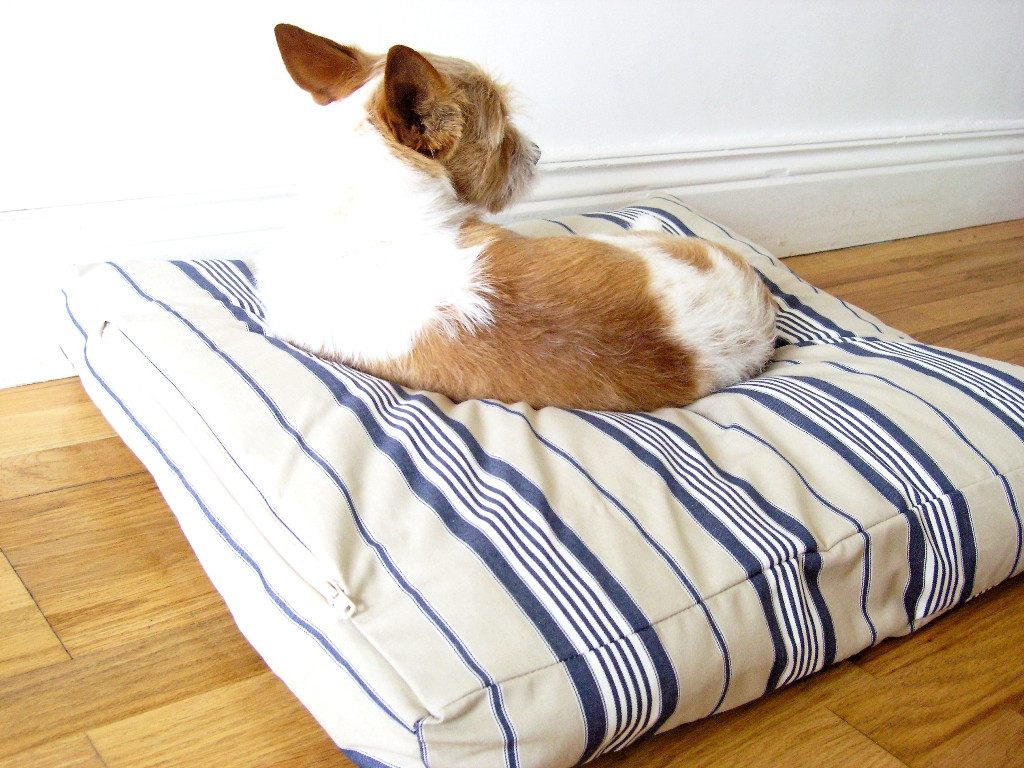 DIY Dog Bed Pillow
 made DIY Dog Bed