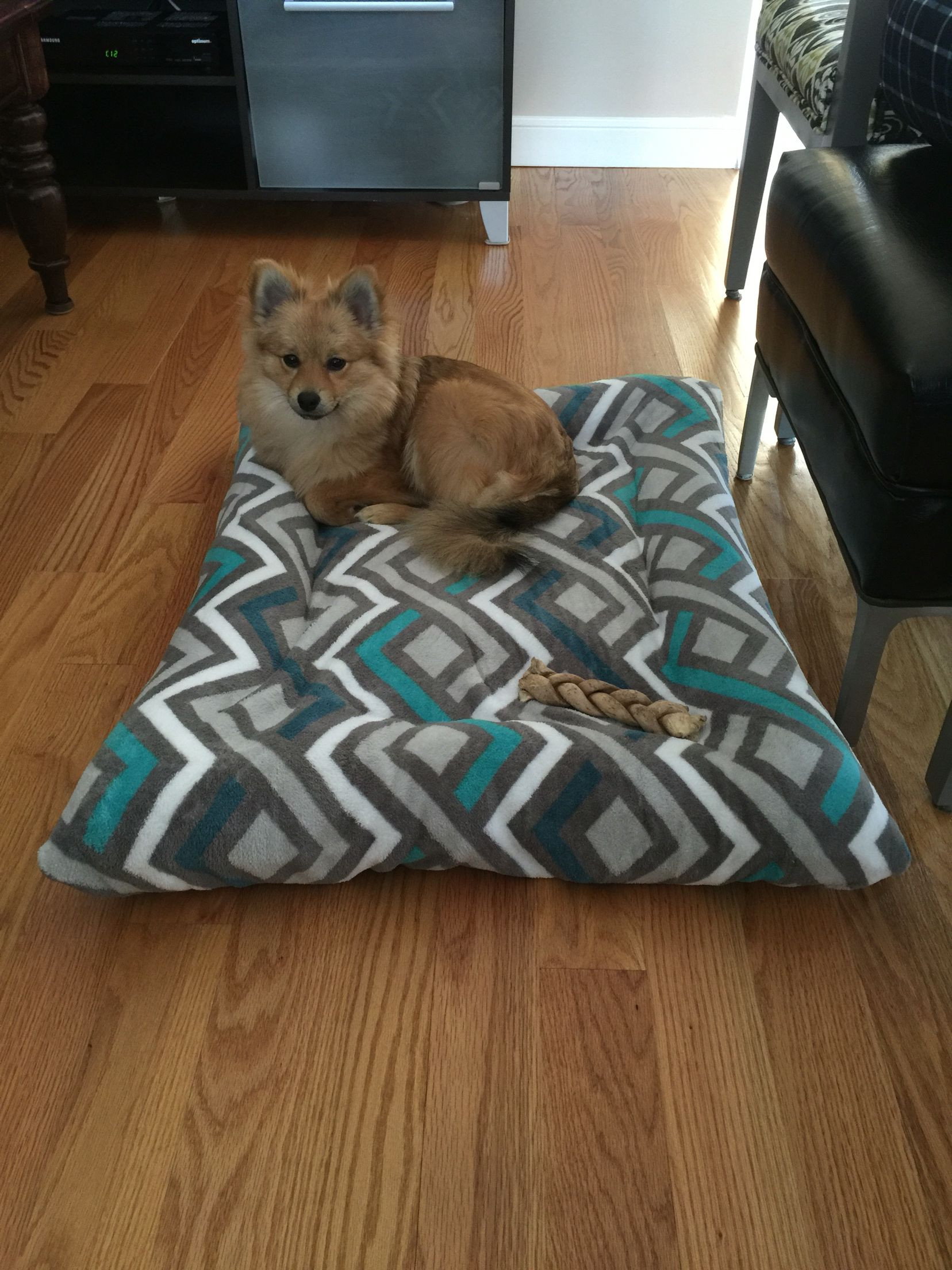 DIY Dog Bed Pillow
 Diy dog bed with old pillows and $5 Walmart blanket