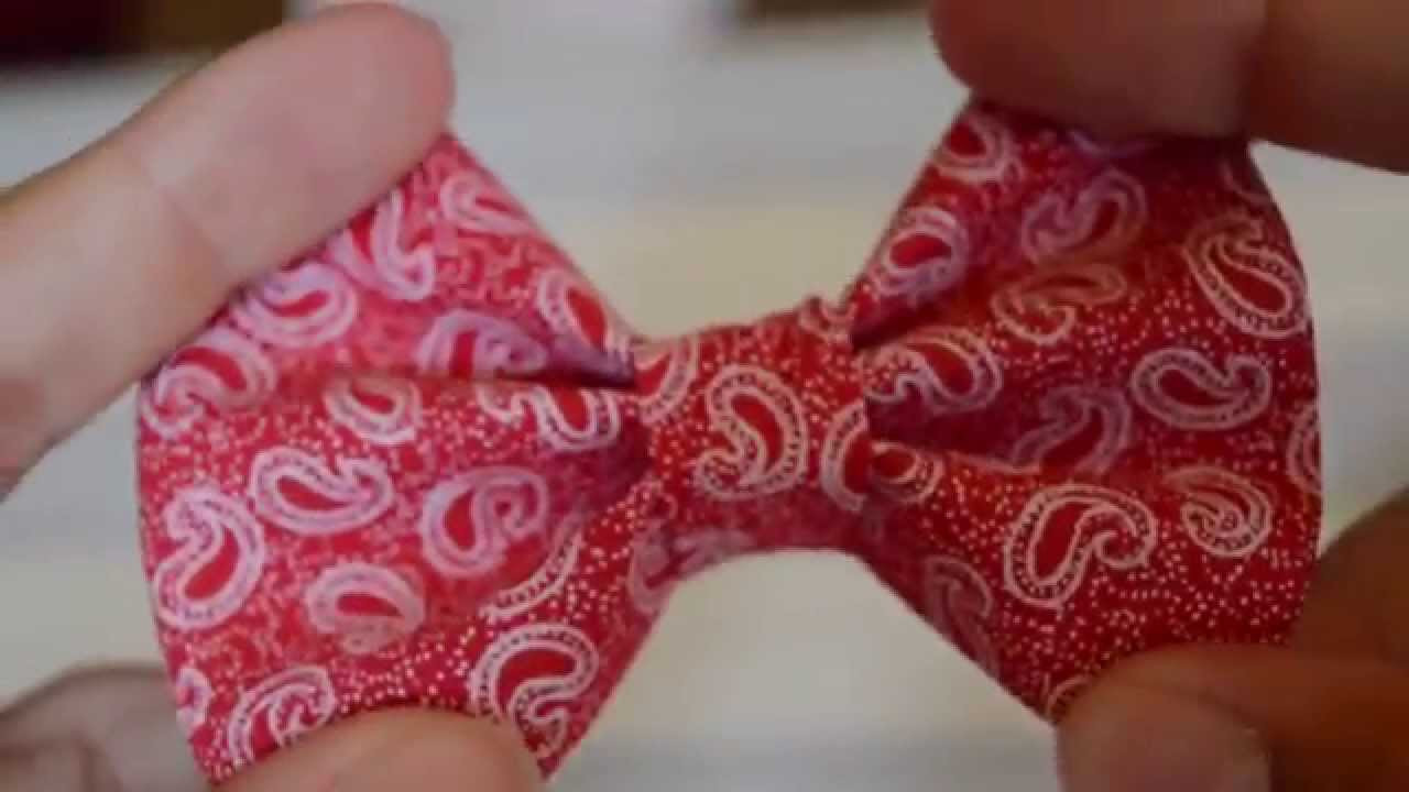 DIY Dog Bow
 12 steps to make a dog bow tie