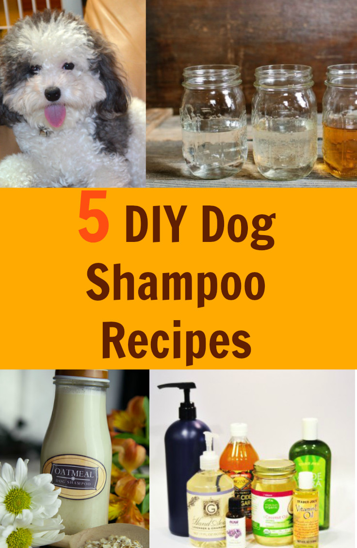 DIY Dog Cologne
 5 DIY Dog Shampoo Recipes Fabulessly Frugal