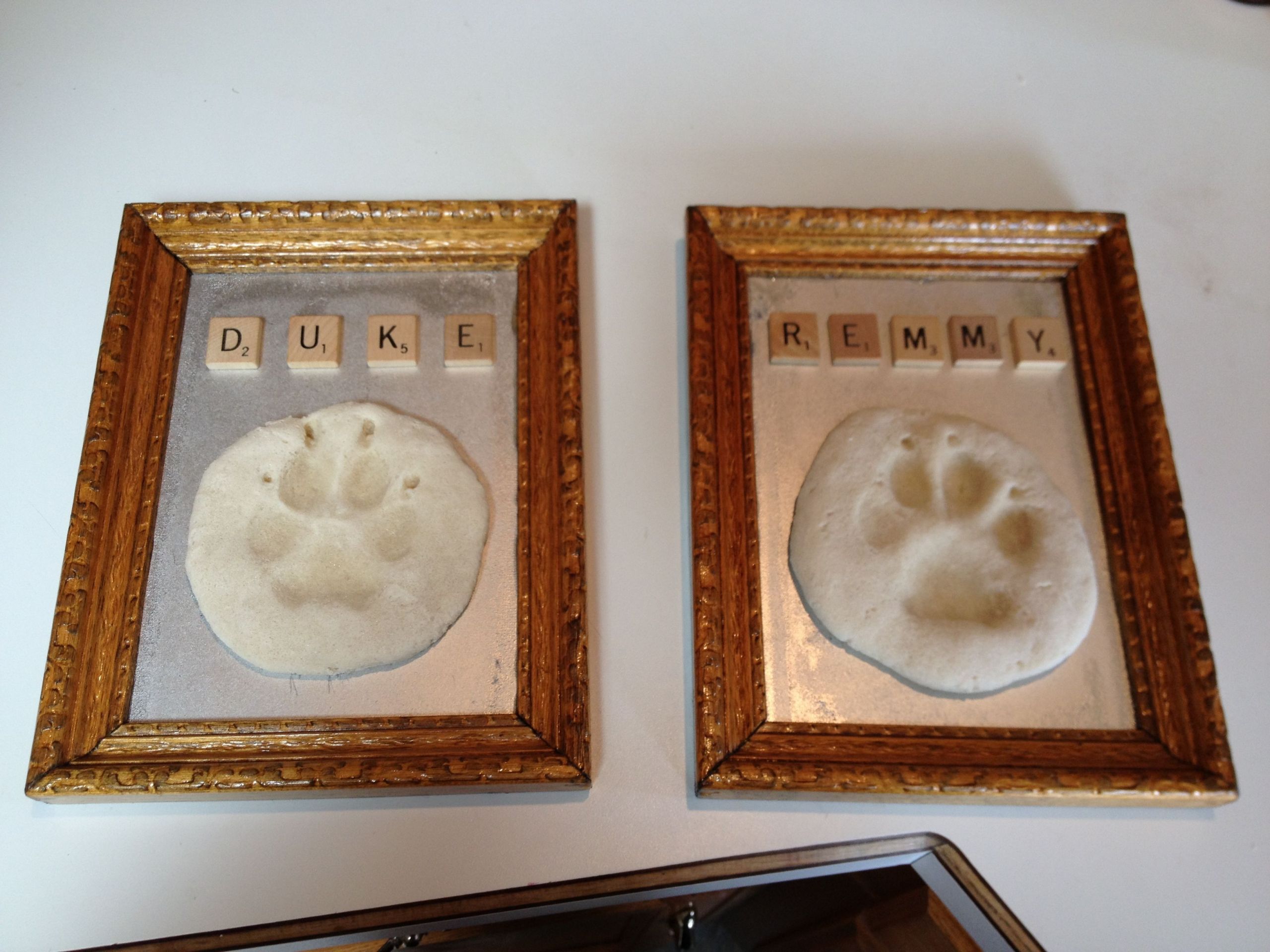 DIY Dog Paw Print Mold
 Dog paw print mold My Ideas