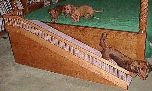 DIY Dog Ramp For Couch
 Ramp to the bed Pet Ideas