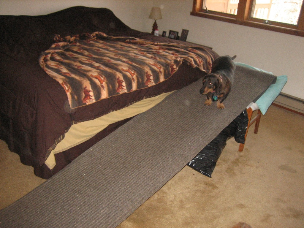 DIY Dog Ramp For Couch
 Diy Dog Ramp For Bed korrectkritters
