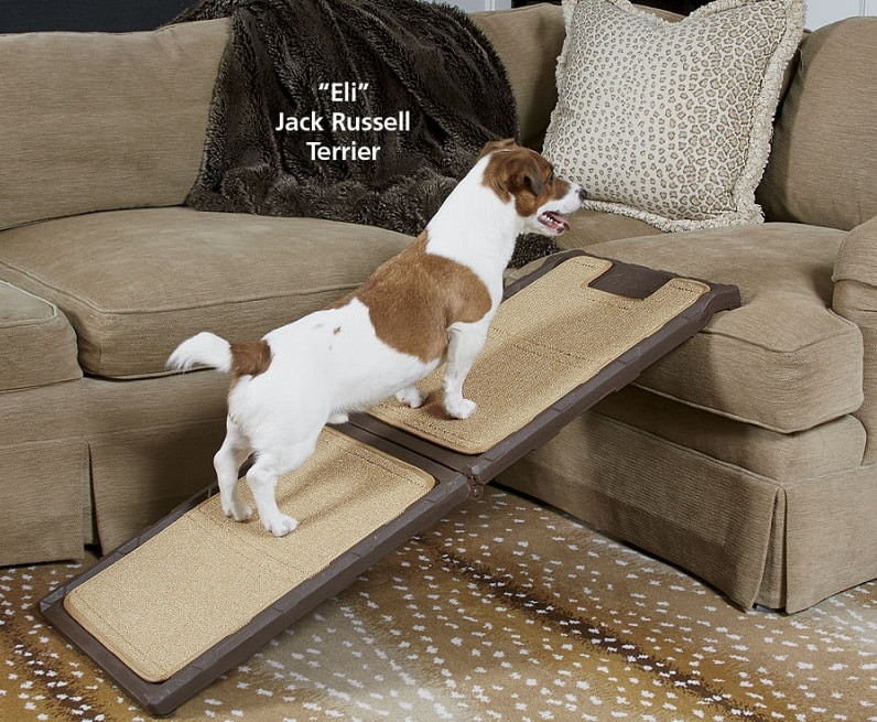 DIY Dog Ramp For Couch
 How to Build A Dog Ramp Tools And Materials