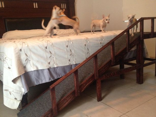 DIY Dog Ramp For Couch
 32 best dachshund ramp images on Pinterest