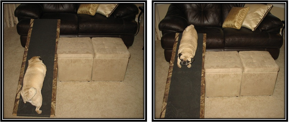 DIY Dog Ramp For Couch
 Easy DIY Dog Ramp