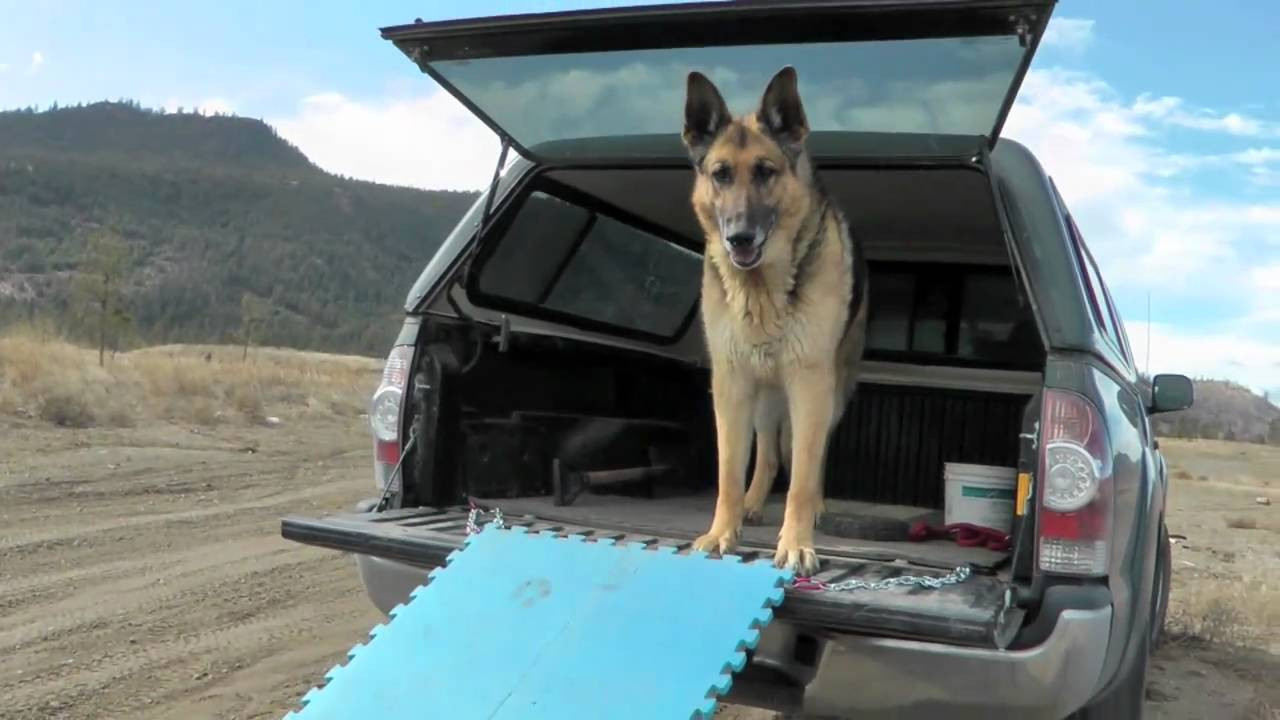 DIY Dog Ramp For Truck
 Dog Ramp