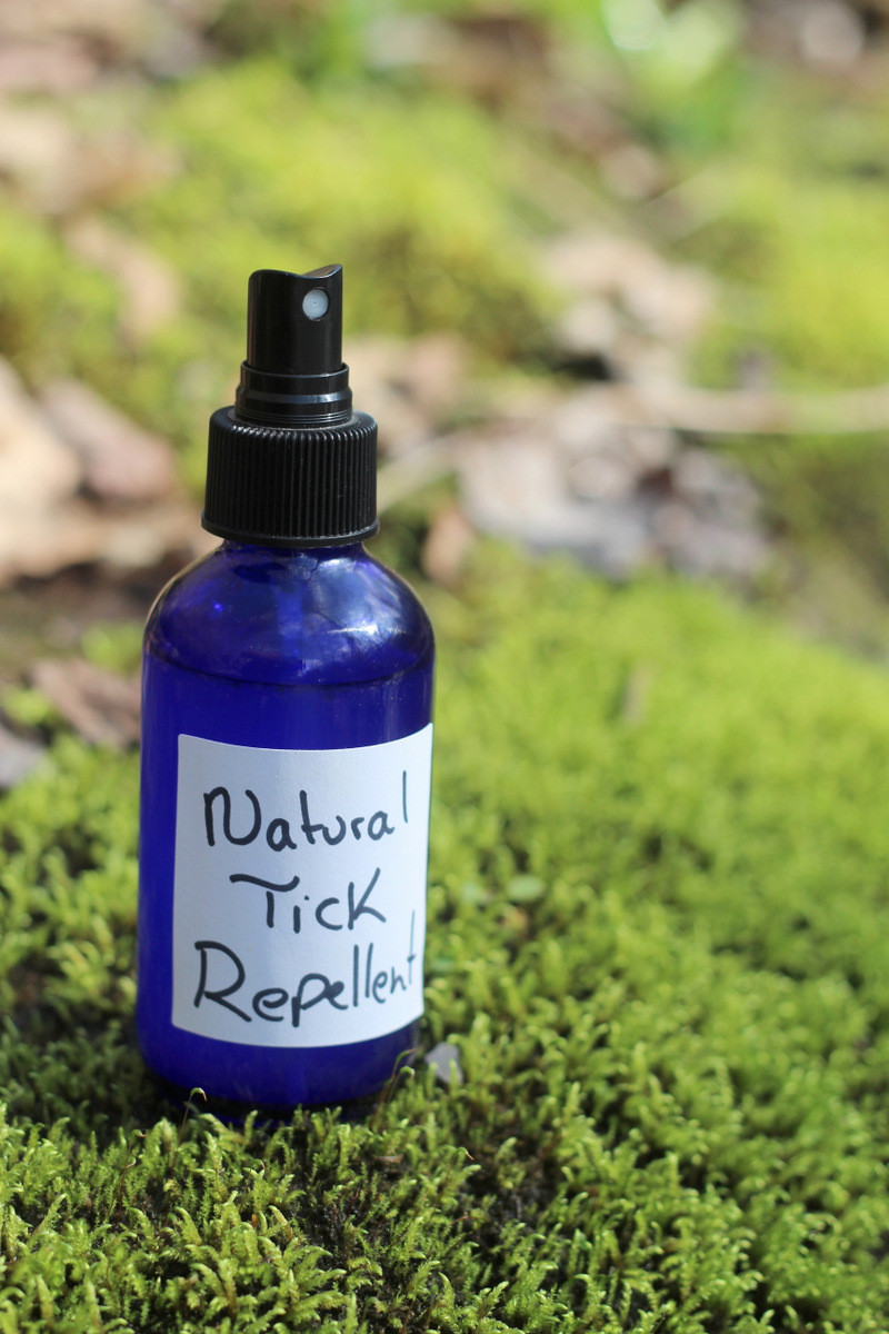 DIY Dog Repellent Spray
 7 Effective Natural Tick Repellents You Can Make at Home