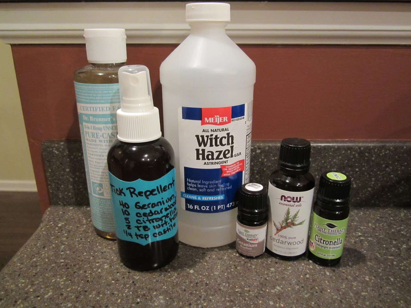 DIY Dog Repellent Spray
 5 DIY Bug Sprays and Tick Repellent – All Natural Mom