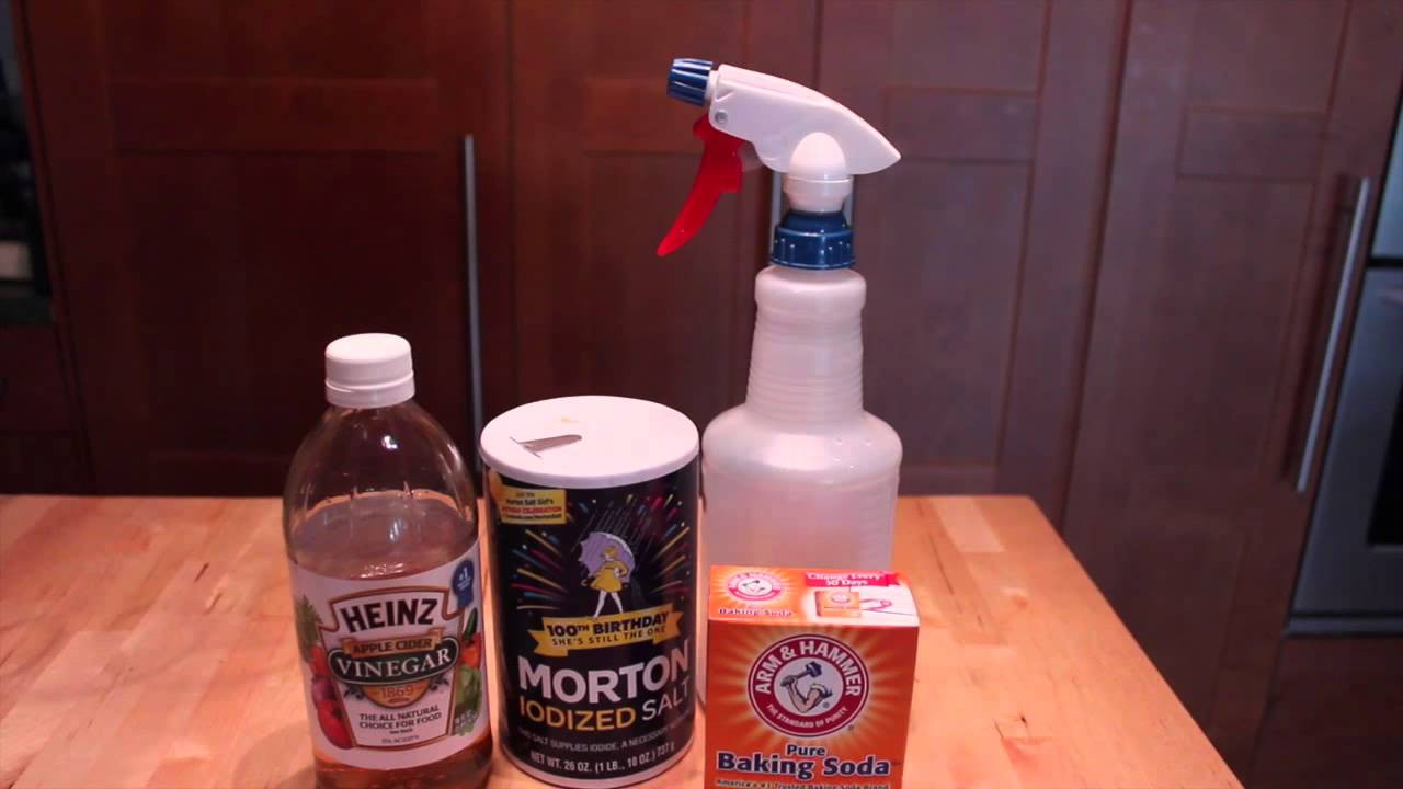 DIY Dog Repellent Spray
 Homemade Flea & Tick Repellent for Pets