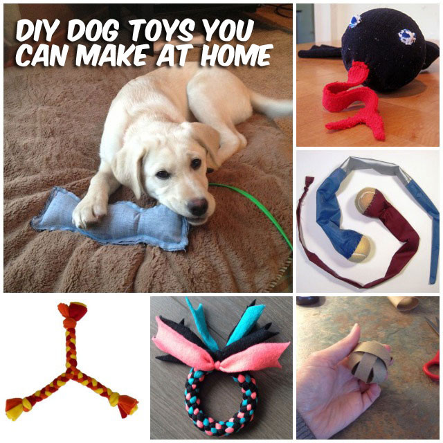 DIY Dog Toy
 37 Homemade Dog Toys Made by DIY Pet Owners