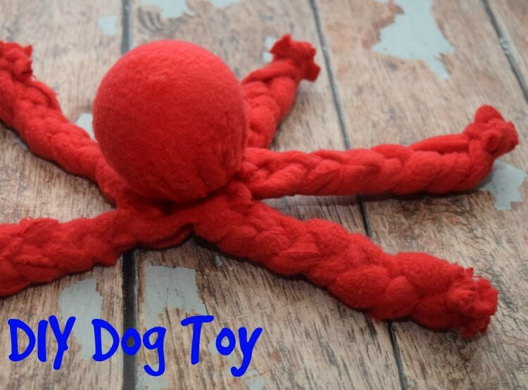 DIY Dog Toy
 DIY Dog Toy & Nature s Recipe