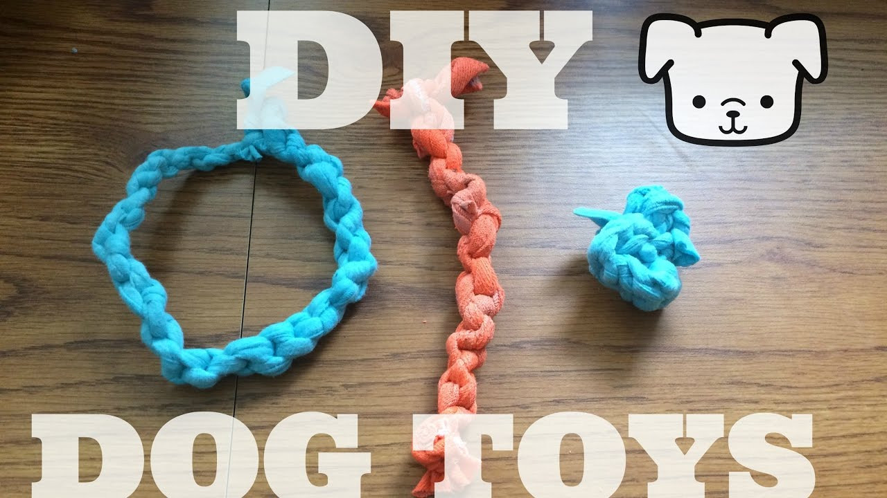 DIY Dog Toy
 3 Easy DIY Dog Toys
