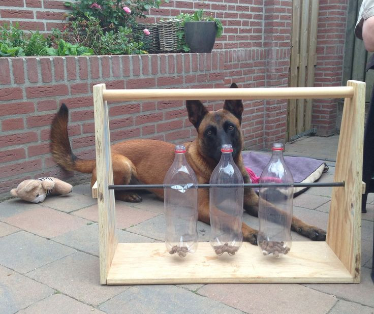 DIY Dog Treat Dispenser
 19 best images about dog puzzels on Pinterest