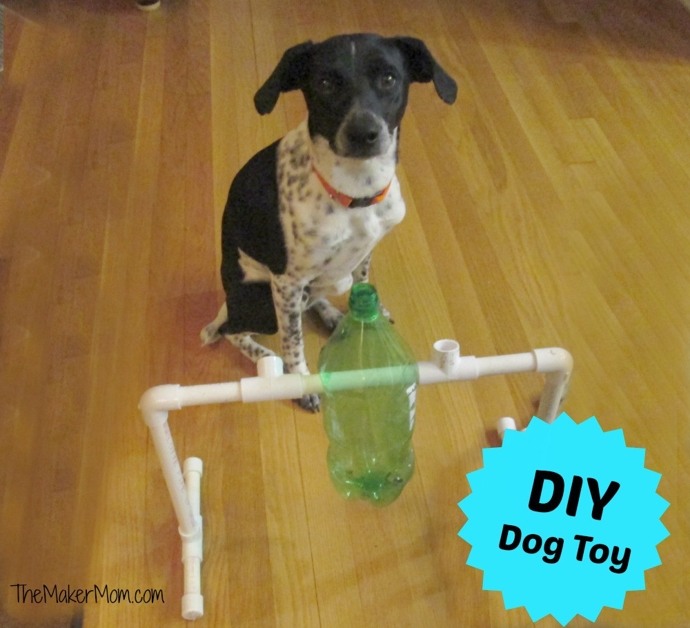 DIY Dog Treat Dispenser
 DIY Dog Treat Dispenser Toy