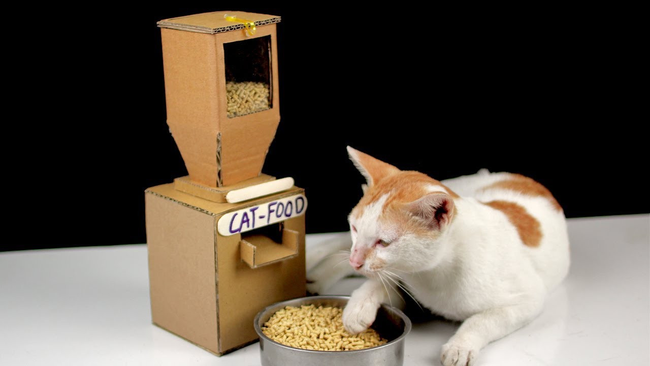DIY Dog Treat Dispenser
 Diy Tom Cat Food Dispenser From Cardboard at Home [ Mr H2
