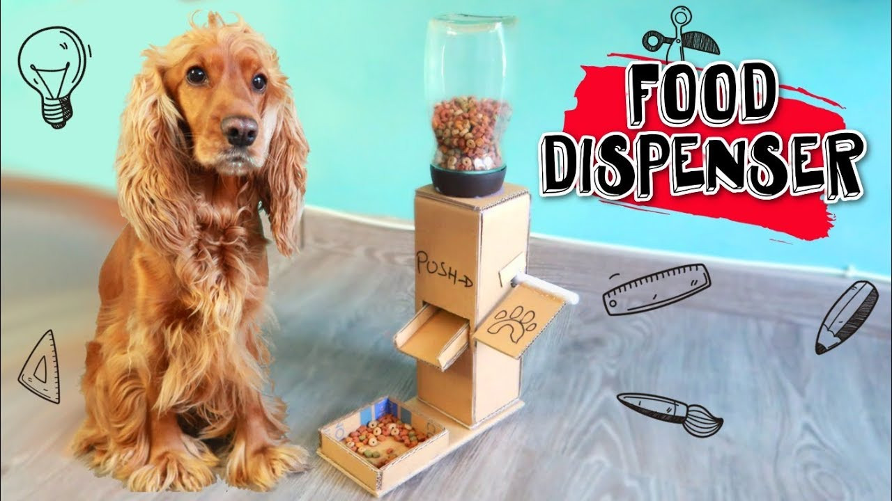 DIY Dog Treat Dispenser
 DIY Puppy Dog Food Dispenser from Cardboard at Home