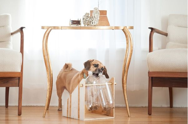 DIY Dog Treat Dispenser
 10 DIY t ideas for cats and dogs