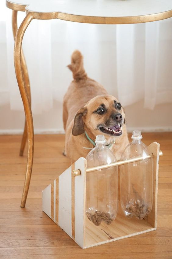 DIY Dog Treat Dispenser
 DIY Treat Dispenser PAW2014