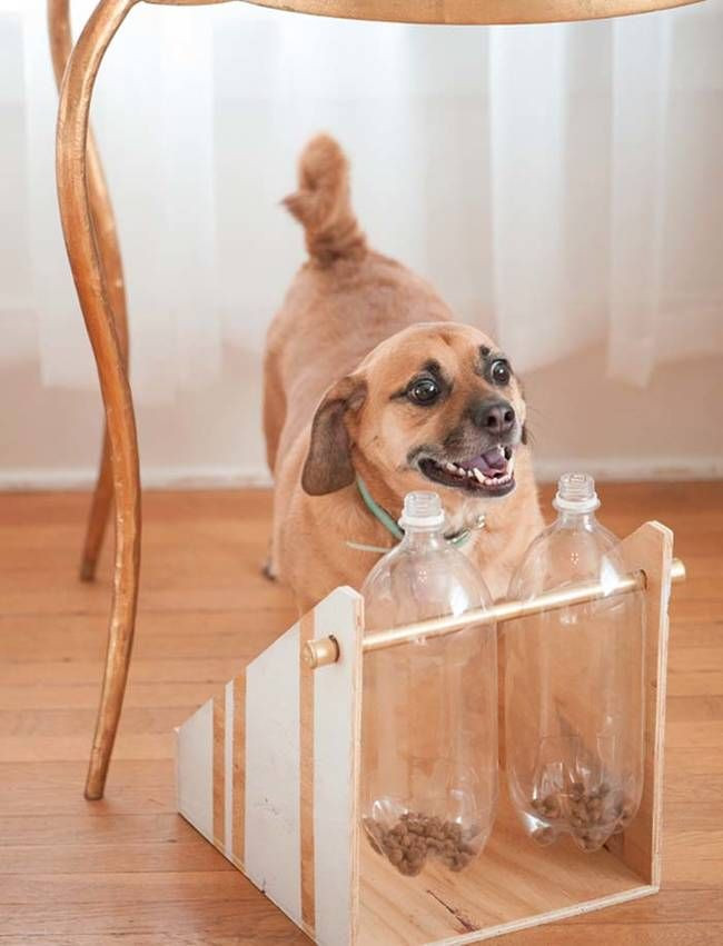 DIY Dog Treat Dispenser
 134 best PET IDEAS & CRAFTS images on Pinterest