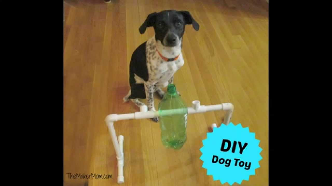 DIY Dog Treat Dispenser
 Fun DIY Dog Toy and Treat Dispenser