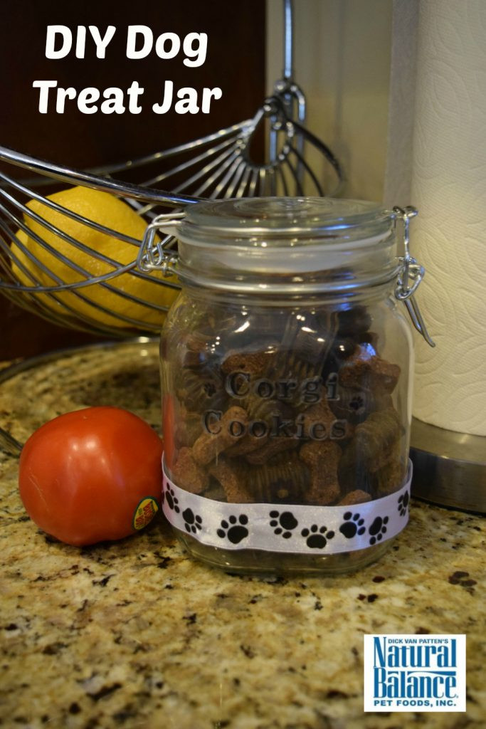 DIY Dog Treat Jar
 DIY Dog Treat Jar and NaturalBalance Dog Treats Some Pets