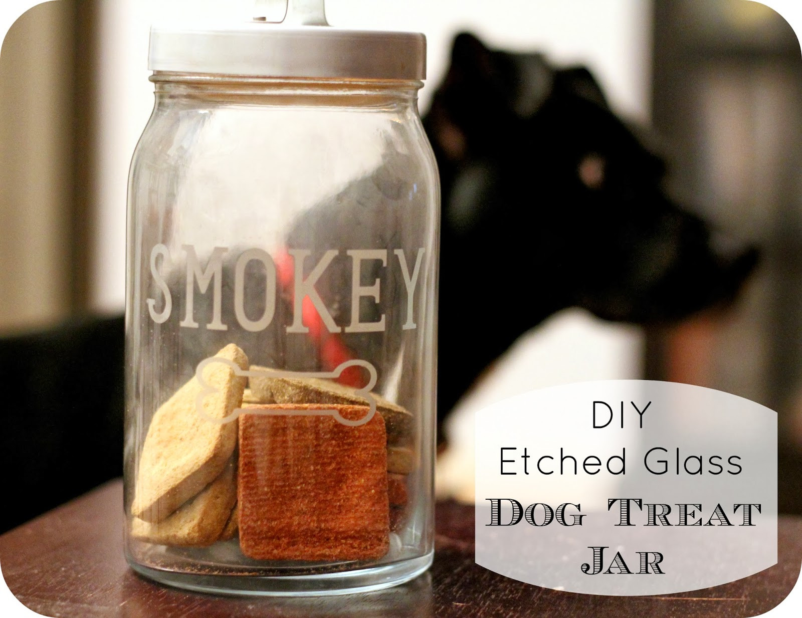DIY Dog Treat Jar
 homevolution DIY Etched Glass Dog Treat Jar