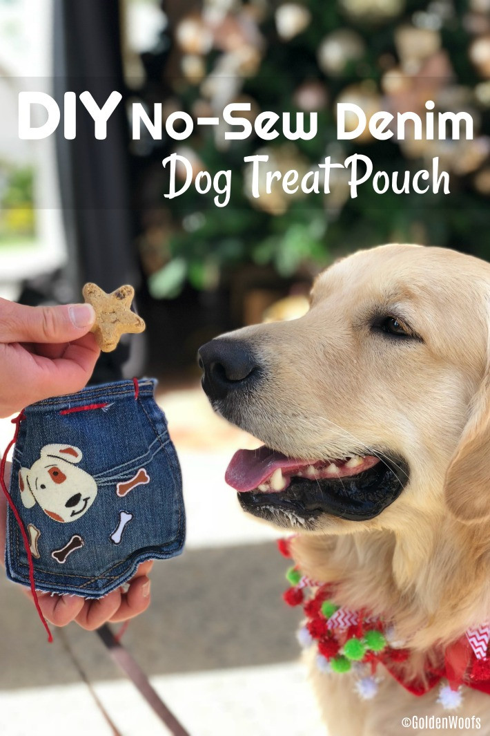 DIY Dog Treat Pouch
 DIY No Sew Denim Dog Treat Pouch BlueBuffalo Golden Woofs