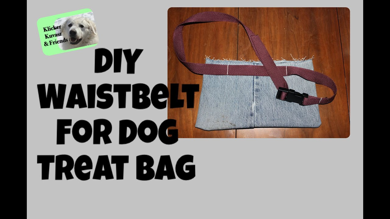 DIY Dog Treat Pouch
 DIY Waist Belt For Dog Training Treat Bag