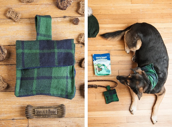 DIY Dog Treat Pouch
 DIY Dog Treat Bag Inspired By NaturalBalance Daily Dog Tag