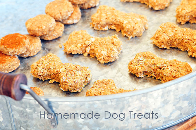 DIY Dog Treat Recipes
 Homemade Dog Treats Recipe Add a Pinch