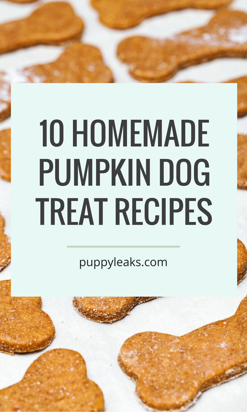 DIY Dog Treat Recipes
 10 Homemade Dog Treat Recipes Made With Pumpkin Puppy Leaks