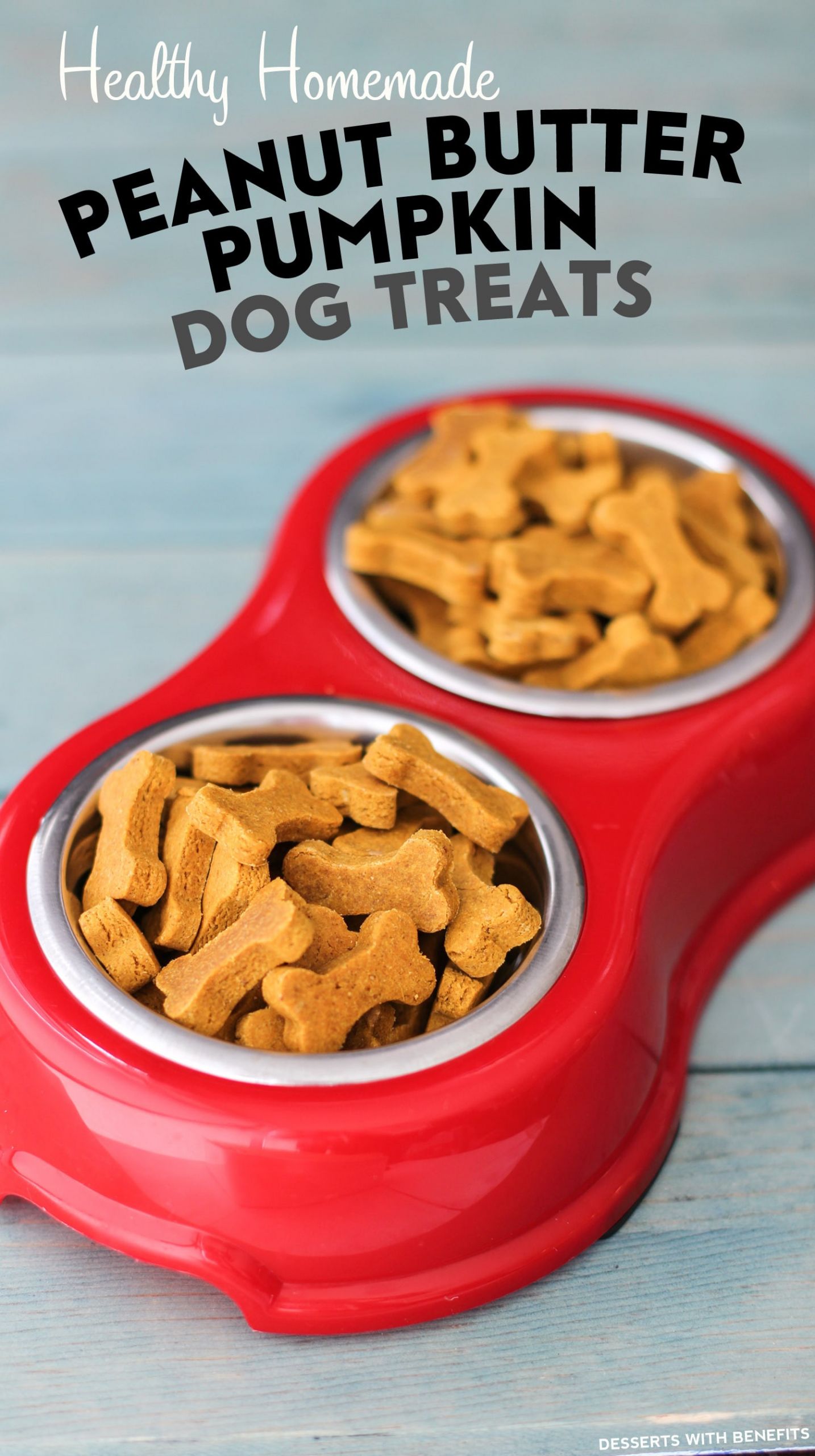 DIY Dog Treats With Peanut Butter
 Healthy Homemade Peanut Butter Pumpkin Dog Treats