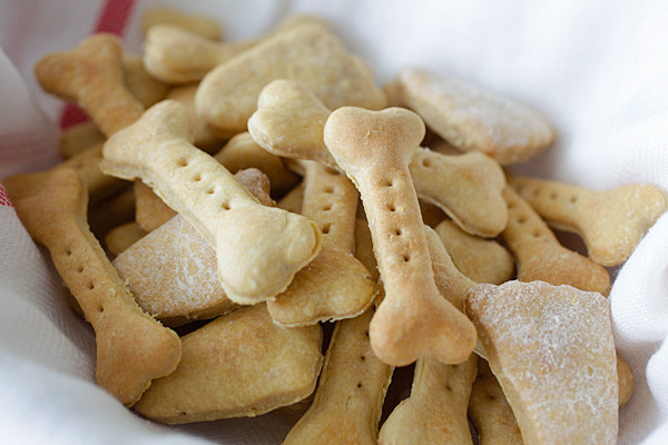 DIY Dog Treats With Peanut Butter
 DIY Your Dog Will Go Nuts For These Homemade Peanut