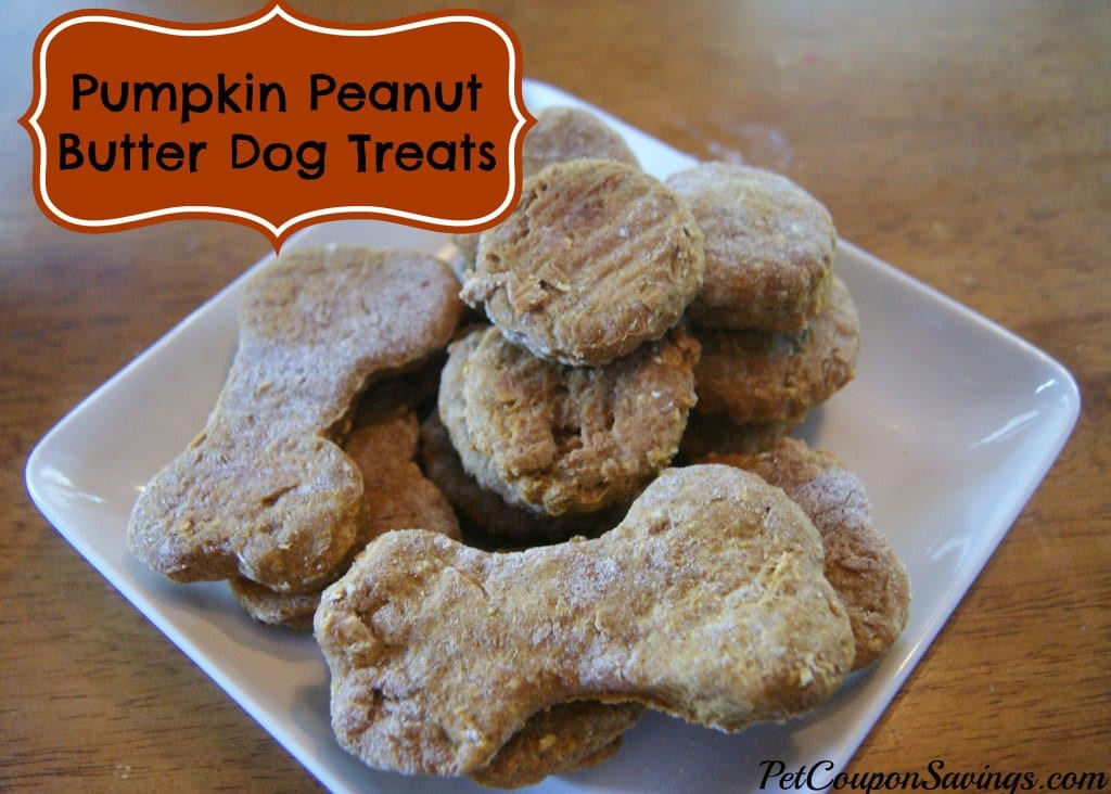 DIY Dog Treats With Peanut Butter
 Homemade Pumpkin Peanut Butter Dog Treats use just a few