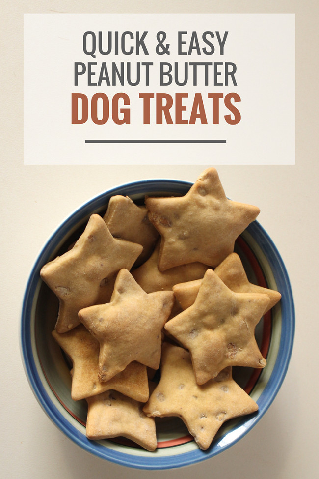 DIY Dog Treats With Peanut Butter
 Quick & Easy Peanut Butter Dog Treats Puppy Leaks